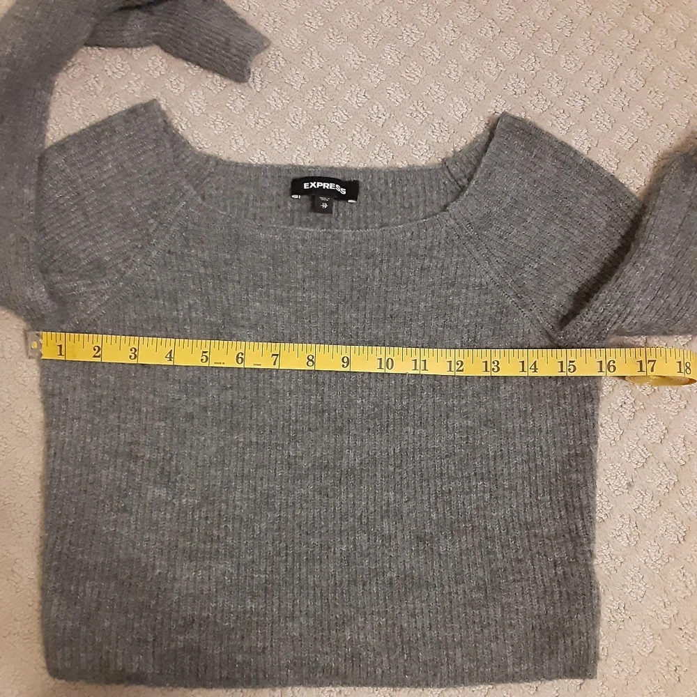Express Cropped Sweater